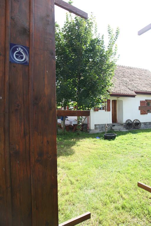 Villa La Mosu à Porumbacu de Sus Extérieur photo