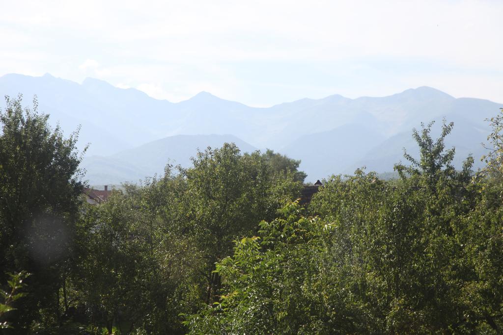 Villa La Mosu à Porumbacu de Sus Extérieur photo